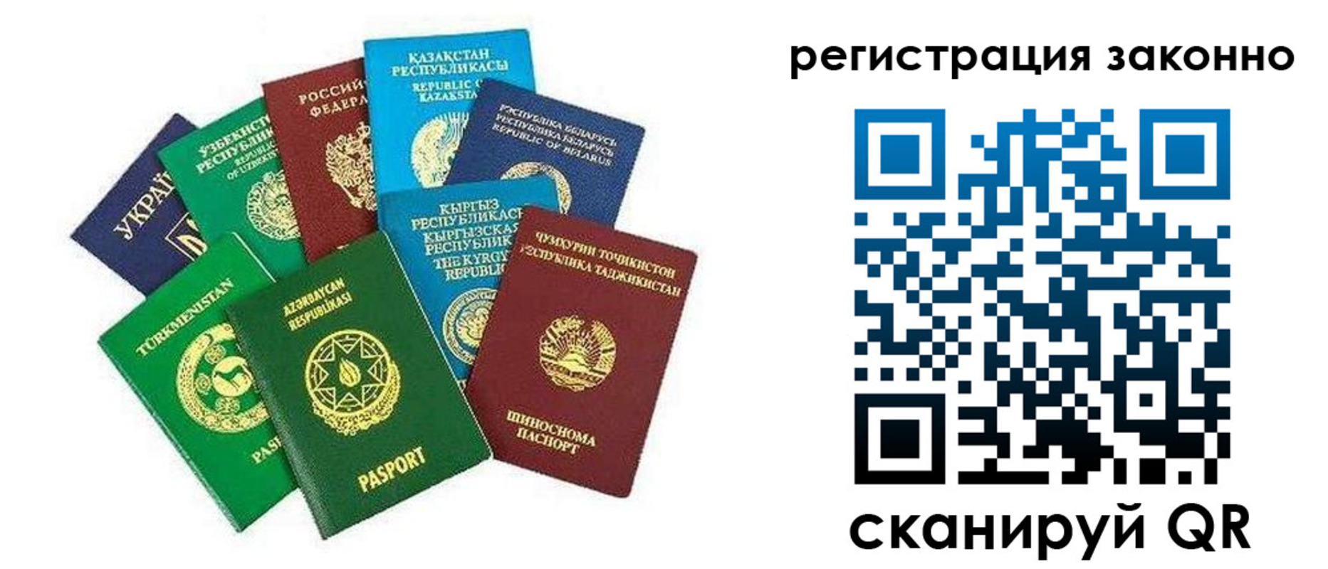 временная регистрация поиск в Выборге